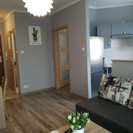 Apartament Edelmana Gorzów Wielkopolski Exterior foto